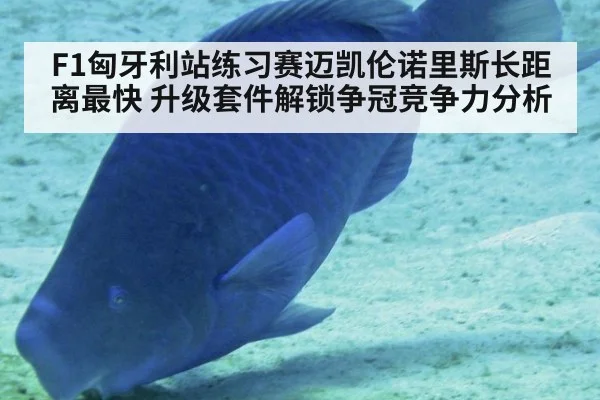 F1匈牙利站练习赛迈凯伦诺里斯长距离最快 升级套件解锁争冠竞争力分析